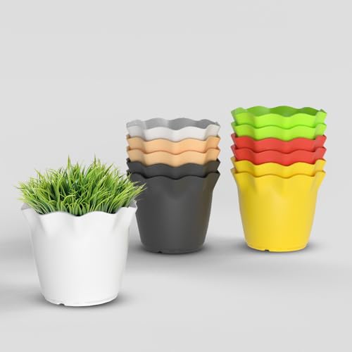 Image of YUCCABE ITALIA SHERA 4 Inch Plastic Flower Pot 12 Piece Set of Unbreakable Round Shape Planter for Home Garden Seedling, Indoor and Outdoor (Multicolor)