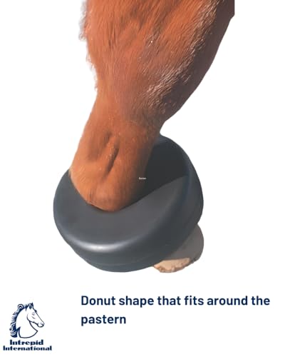Image of Intrepid International Shoe Boil Boots