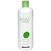 Artec Kiwi Coloreflector Shampoo