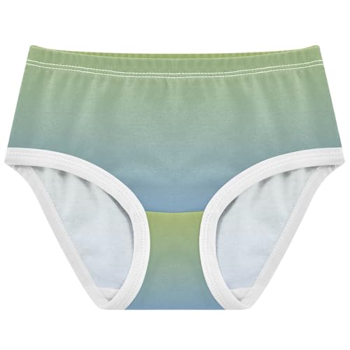 Joisal Ombre Green Blue Gradient Toddler Underwear Floral 2t Cotton Cute Panties Girl Durable Briefs Kids Undies
