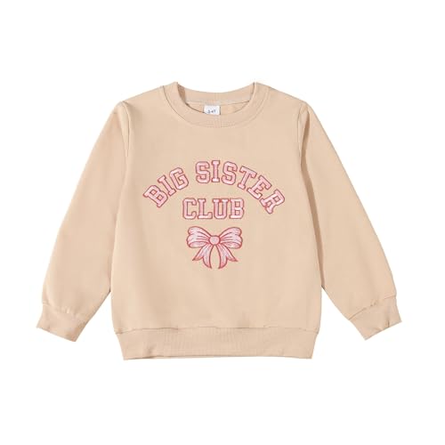 Image of Toddler Baby Girl Boy Siblings Matching Outfits Embroidery Big Bro/Sis Big Shirt Fall Winter Outfit