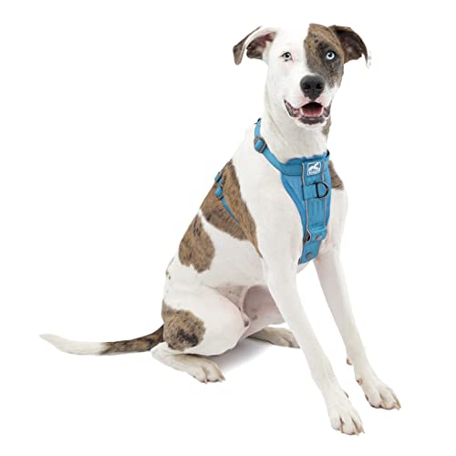 Kurgo TRU-Fit Smart Dog Walking Harness – Bequeme Passform – verstellbares Geschirr – reflektierende Haustierkleidung – Schnellverschluss – Zubehör für den täglichen Spaziergang – inklusive