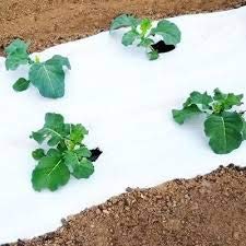 Siddhi 30 Micron White/Black Mulching Film Agricultural Mulching Paper 1 Meter - 3.25 Feet Width 400 Meter Length Color one Side White one Side Black
