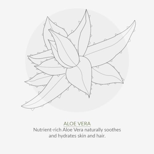 Green People Aloe Vera & Prebiotics Deodorant 75ml | Natural & Organic Deodorant | Gentle Sandalwood & Chamomile Scented Deodorant for Women | Paraben Free & Ethanol Free | Cruelty Free & Vegan - Image 6