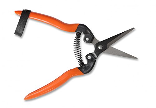 Preisvergleich Produktbild Gartenschere Blumenschere, Floristenschere, Allzweckschere für Garten und Haushalt