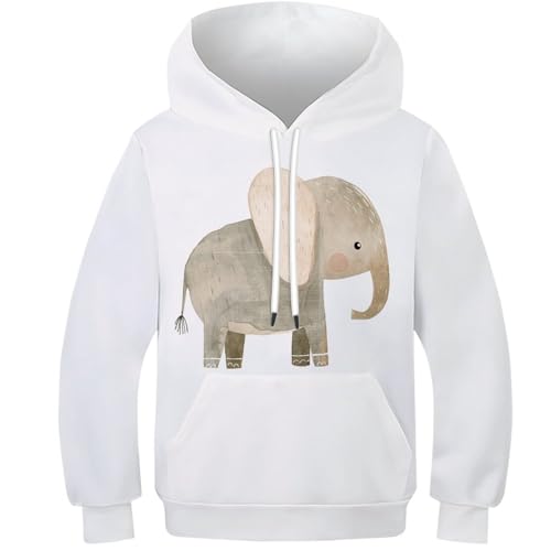 Pull pour garçons pour activités extérieures sweat à capuche animal ours mignon rigolo
