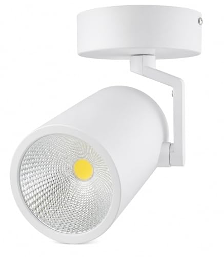 AHUJA INTERNATIONAL 50W COB Wall Spot Light for Home 360
