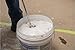 WAL-BOARD TOOLS Paint and Mud Ribbon Mixer, 2 Inch x 15 3/4 Inch steel, 1/2 Inch Head, Paint Mixer, 043-012