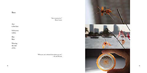 Cecilia Vicuña: About to Happen