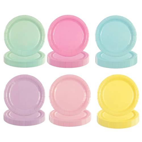 HiEnjoin 48 Stück Bunt Party Pappteller, Einweg Salatteller...