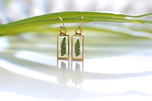 Fern Real Leaf Earrings Floral Handmade Jewelry for Women 14k Gold Filled Ear Wire, 1 inch Drop Length2