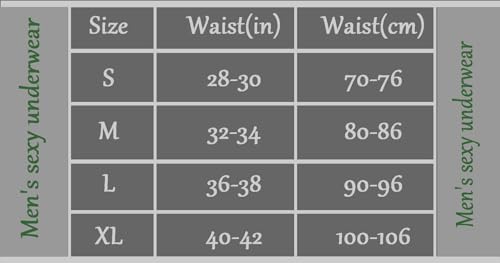 Men's Thong Sexy Mesh Briefs Translucent Bikinis Underwear2