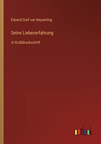 Seine Liebeserfahrung: in Großdruckschrift (German Edition)