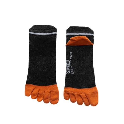 [@] 5{w\bNX Y C 4Zbg z RۖhL ʋC X|[c jO AEghA JWA ʊw 24-28cm