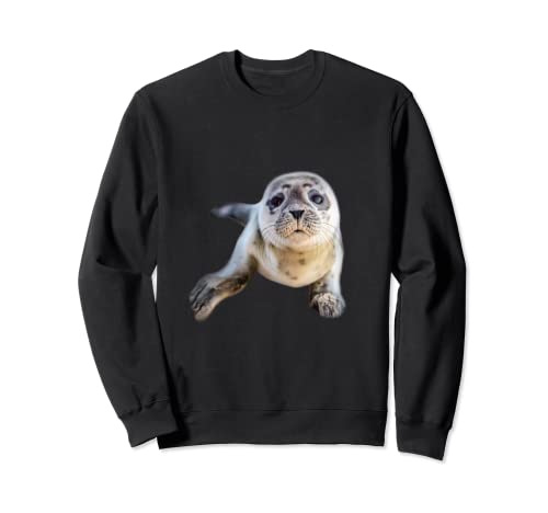 Regalo de la foca bebé del Mar del Norte Sudadera