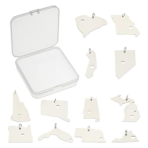 SUNNYCLUE 1 låda 12 stilar kartberlocker hängen rostfritt stål karta över USA Virginia Michigan Alabama Florida Missouri berlocker platt baksida för gör-det-själv hantverksmaterial, silver