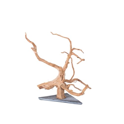 AWXZOM Natural Large Spider Wood Driftwood for Aquarium, Terrarium, Vivarium, and Reptile, Aquarium Décor, Reptile Tank, Aquarium décor Wood Aquascaping Wood for Reptile Enclosure (9-14inch)