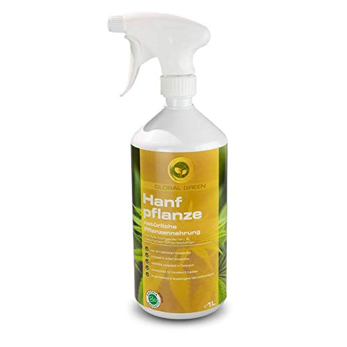 alo water bottle Alo Glass Water Bottle - 500mL main image 1