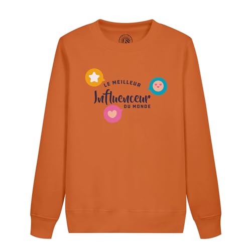 Sweatshirt enfant le meilleur influenceur du monde pull ados internet