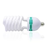 LimoStudio [1 Pack] 85W 6500K E26 CFL, Compact Fluorescent Light Bulb for Photo Studio, Pure White Day Light, AGG879