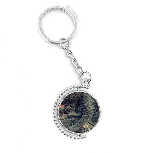 Llavero de gato gris giratoria ideal para colgar en mochilas de estudiantes y amantes de felinos