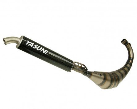 YASUNI Carrera R3 Carbon, Beta RR 50 AM6