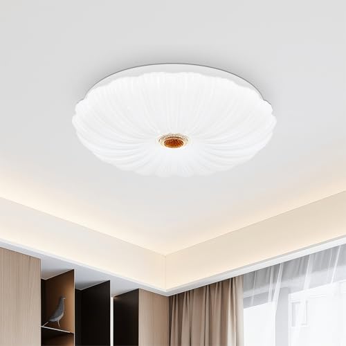 Image of VIPMOON 22W LED Ceiling Light, 6500K Cool White Super Bright Flush Mount Light Fixture 110W Equivalent Ceiling Lamp for Bathroom, Porch, Kitchen, Utility Room, Hallway, Children’s Room, Study Room