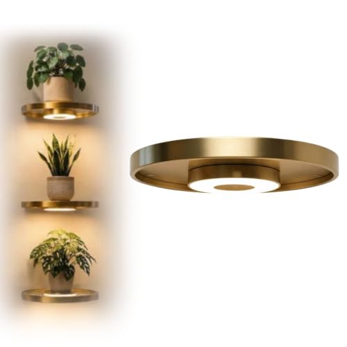 Floating Wall Shelf with Built-in Ambient LED Light, Modern Luxury Metal