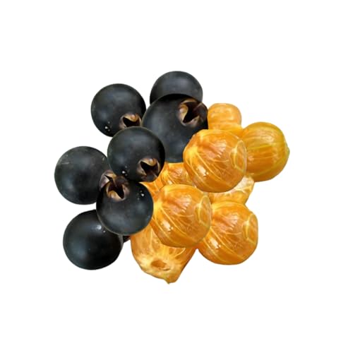 Muda Frutífera de Guabijú