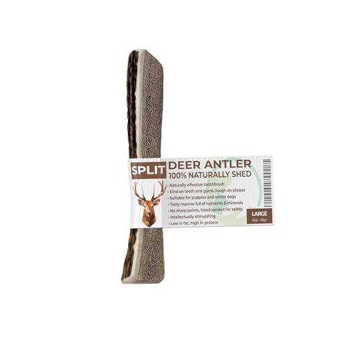 Primary Pets Premium Pet Supplies SPLIT Antlers for Dogs Size LARGE, Naturally Shed, Sustainable
