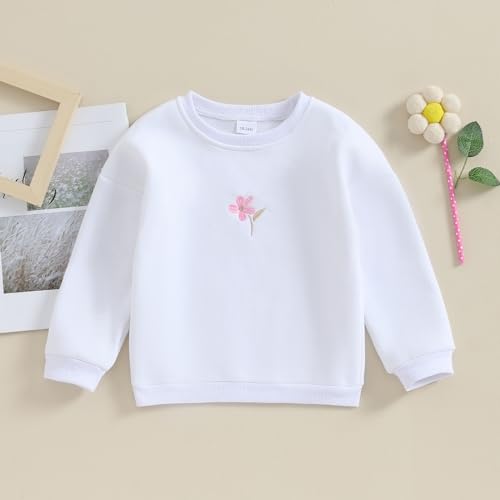 Toddler Baby Girls Long Sleeve Crewneck Embroider Pullover Sweatshirt Sweater Outfits Solid Color Casual Clothes2