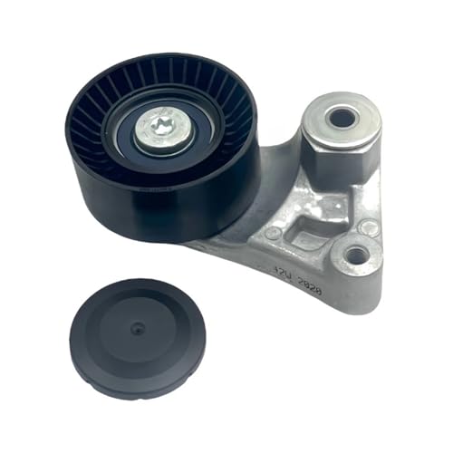 Capuchon tendeur de chaîne anti-vibration Porsche 3.6 4.8T galet courroie 94810240323