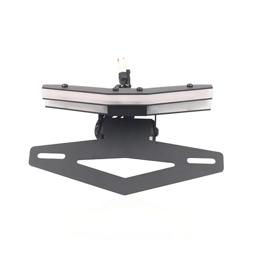 Support de Plaque d'Immatriculation Moto pour KTM Duke 790 et 890