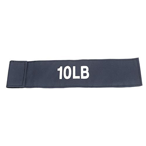 Pseudois Workout Sandbag Accessories for 10lb (Blue)