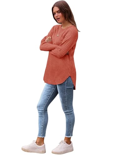 Image of Saloogoe Long Sleeve Shirts for Women 2025 Fall Clothes Tunic Tops Loose Fit Dressy Crewneck Pullover Sweaters Curved Hem