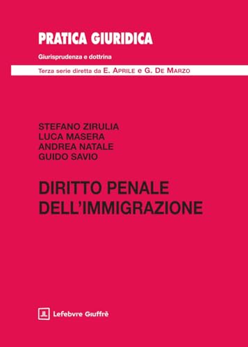 Diritto penale dell'immigrazione