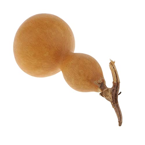 chiwanji BOTTLE GOURDS (DRIED & CLEANED) Small Calabash Gourd Craft DIY Decor