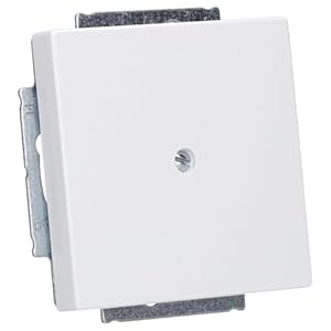 Busch-Jaeger 1742-84 Blindabdeckung Plattform 63 Weiß