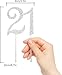 Hatcher lee Bling Crystal Rhinestone 21 Birthday Cake Topper - Best Keepsake | 21st Party Decorations Silver