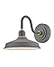Hinkley Foundry Classic 10231DMG Small Gooseneck Barn Light - Knurled Brass Accents, Dark Sky Compliant - Dark Matte Grey + Brass