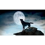 Wolf Full Moon Backdrop Wild Animal Cool Wolf Photography Background Fantasy Animals Moon Animal Themed Wolf Backdrops Banner Decorations Wallpaper for Men Travel Zen Theme Photo Props 7x5ft