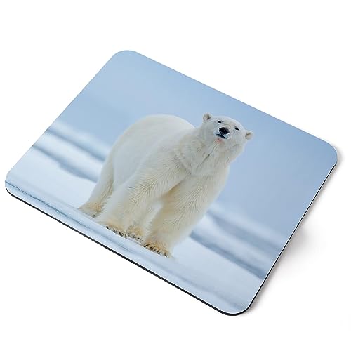 Destination Vinyl Ltd Tapis de souris rectangulaire en caoutchouc souple motif ours polaire sur neige Norvège 5 mm Accessoire de bureau #63234