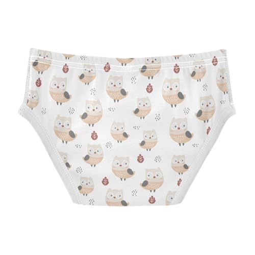 Boys' Exclusive Briefs Toddler Underwear 95% Combed Cotton Boxerbriefs 2T Owl Pattern 362