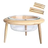 Katzen Futternapf erhöht Anti-Erbrechen Schale mit Ständer höhenverstellbar für Wohnzimmer Küche Schlafzimmer Spielzimmer Apartment Essbereich Ecke Alleinzeit