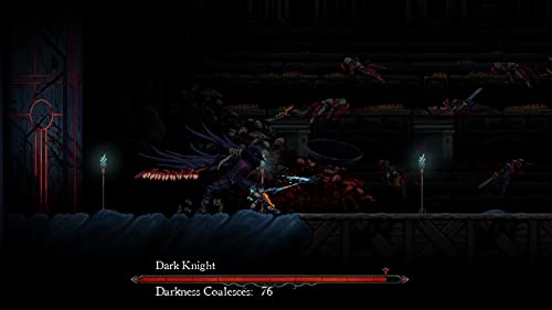 Death' Gambit Afterlife Édition Définitive Switch - vue 8