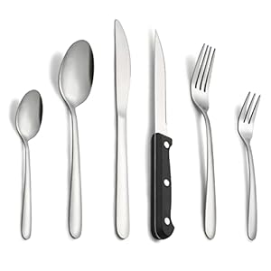 Pleafind 72 piezas, juego de cubiertos para 12 personas, cuberteria plateada de acero inoxidable que incluye cuchara, cuchillo, tenedor, cuchillo de carne, apto para lavavajillas