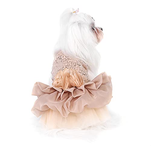 Disfraz para perro princesa tamaño M en rosa dorado miniatura 5