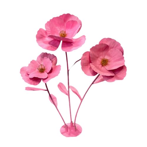 x ̑p̍ 160 Cm ̋ȑԁB, sN