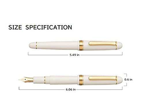 platinum fountain pen 3776 century soft fine point chartres blue pnb-15000-51-sf with kanji love sticker