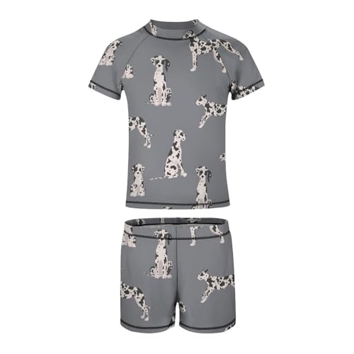 Great Dane Color DogChildren's Swimsuits Boys Two Piece Suit9-11Y（140cm）4